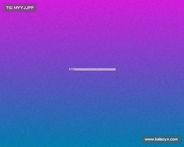 ATP上海大师赛德约科维奇力克胡尔卡奇夺冠成就历史四冠王伟业 ATP上海大师赛德约科维奇力克胡尔卡奇夺冠成就历史四冠王伟业